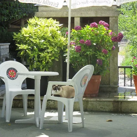 Chola Hotel